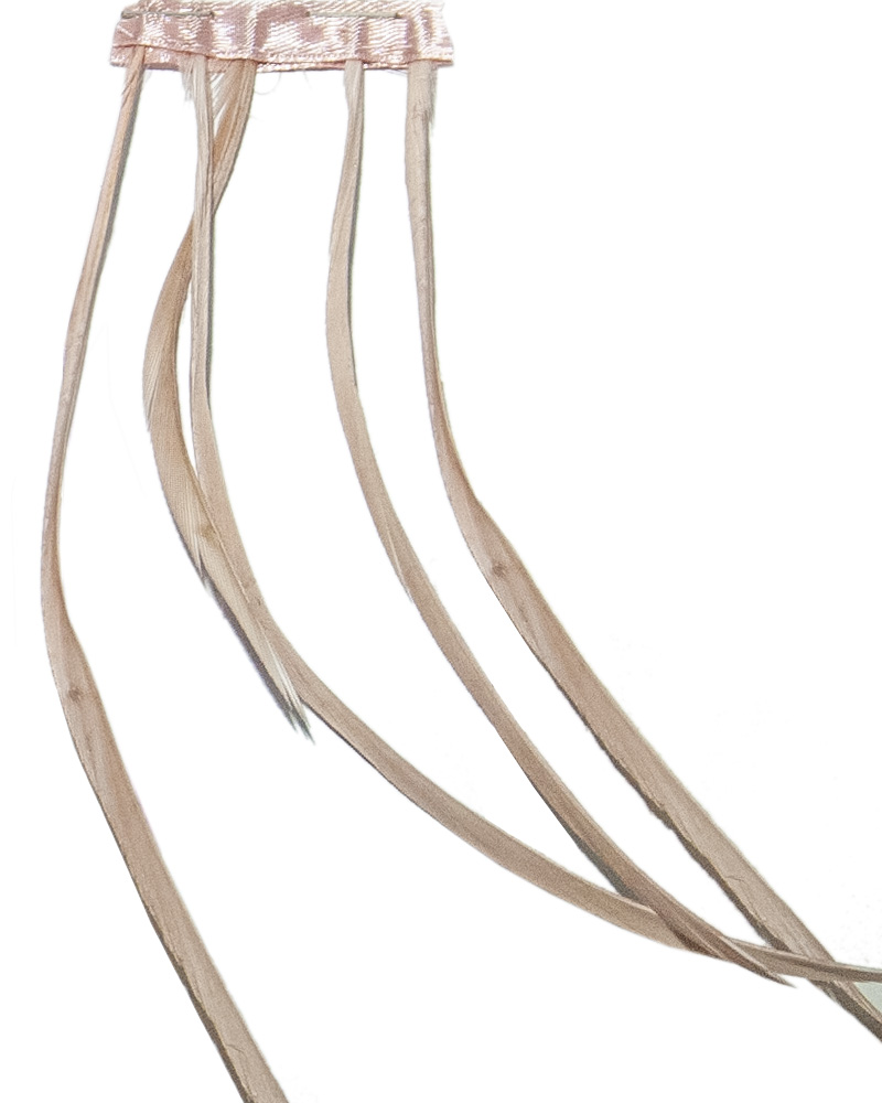 pene de gâscă 15-20 cm - imagine 4