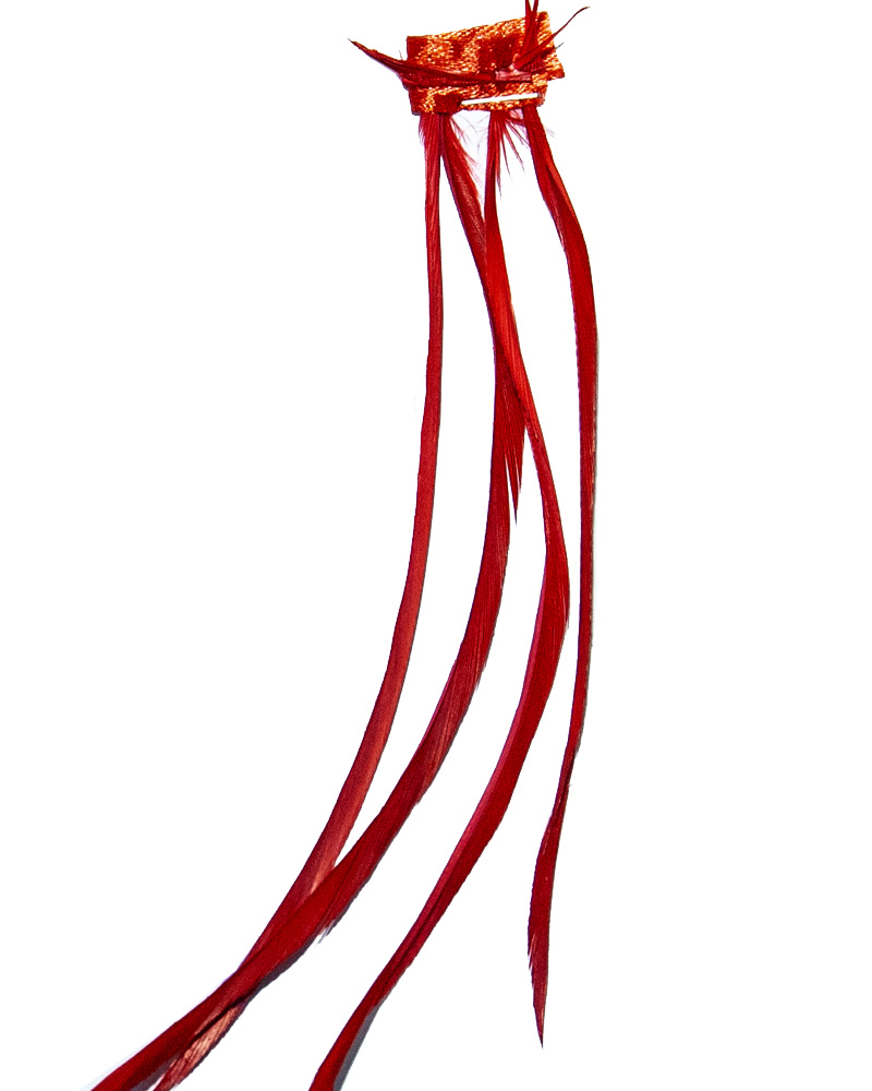 pene de gâscă 15-20 cm - imagine 7