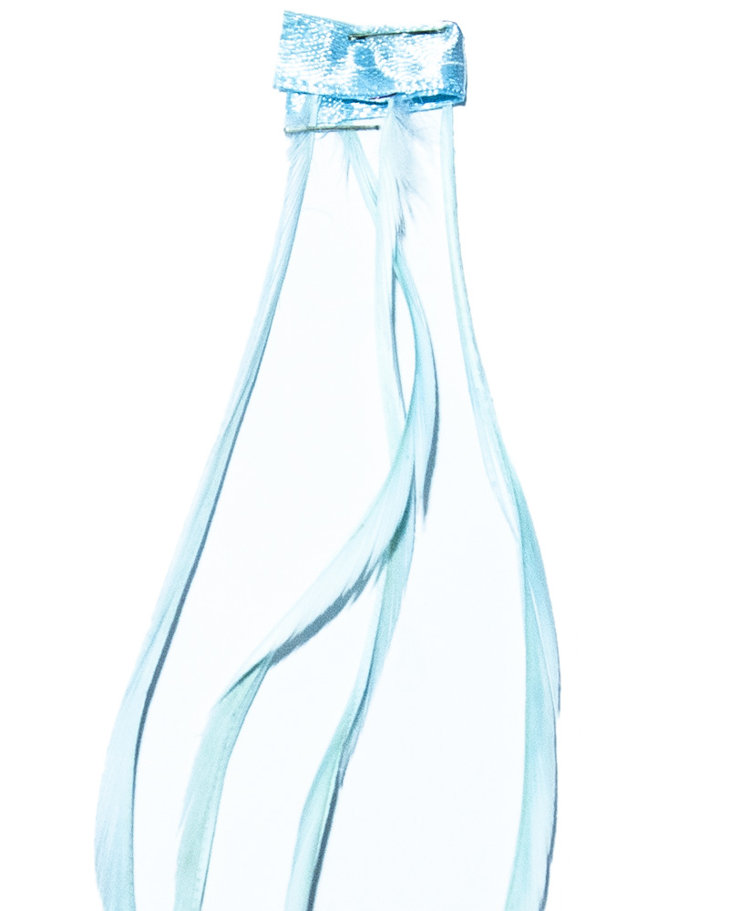 pene de gâscă 15-20 cm - imagine 11